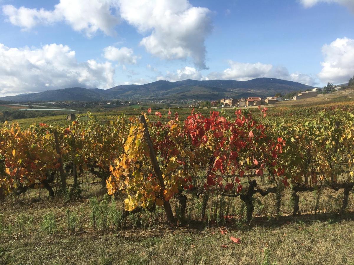 Chambre Spacieuse Le Clos Des Vignes Chavanay Buitenkant foto