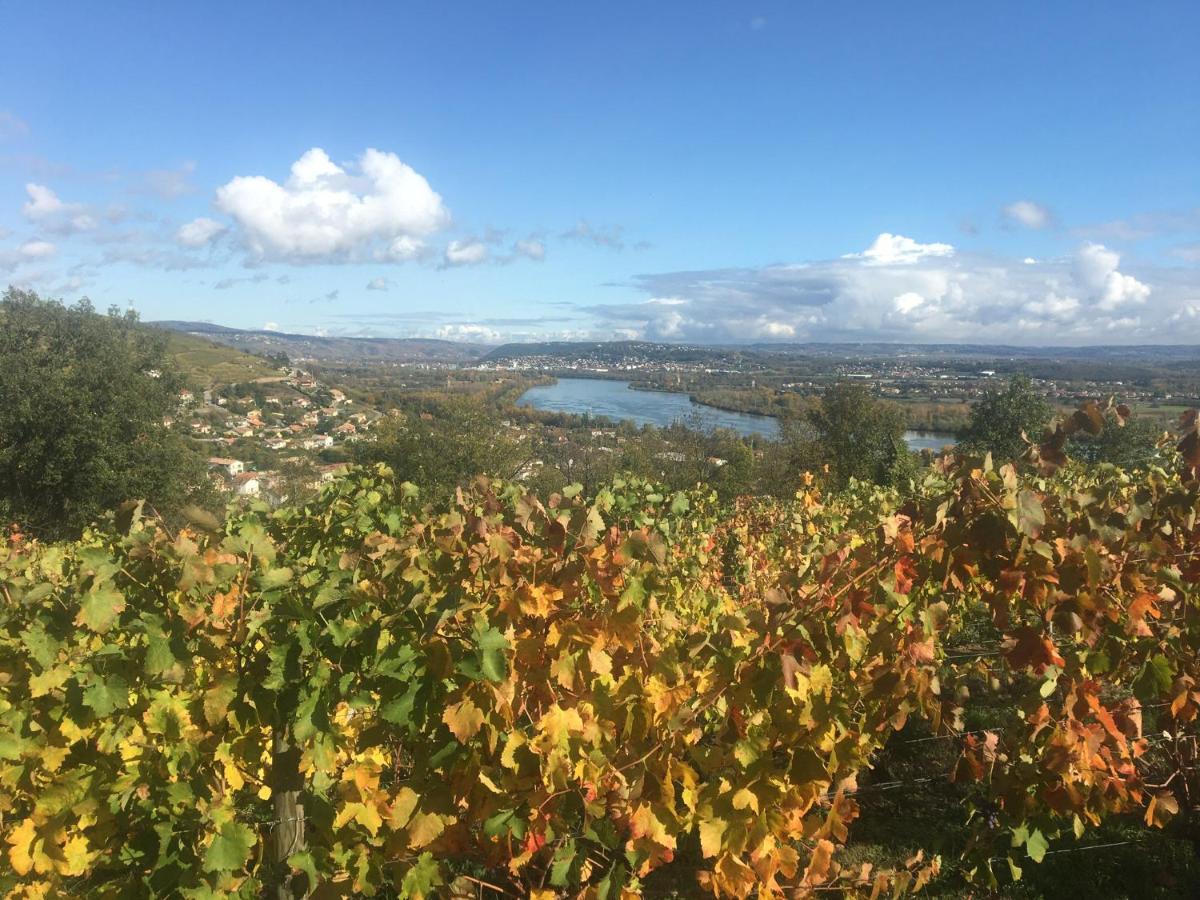 Chambre Spacieuse Le Clos Des Vignes Chavanay Buitenkant foto